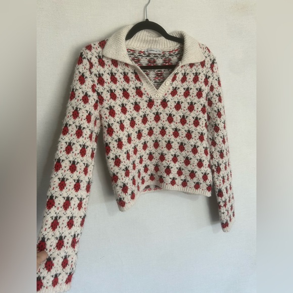 Zara Sweaters - Zara knit ladybug sweater